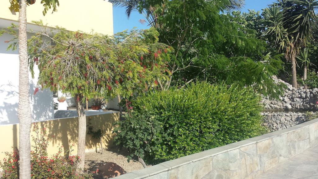 فاليراكي Summer Days المظهر الخارجي الصورة